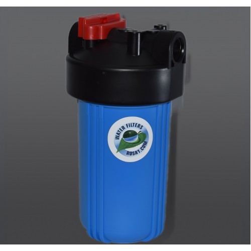 Колба магистральная Роса 111 BB10 1"